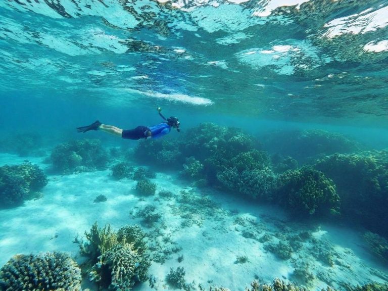 Подводный мир Чамских островов во Вьетнаме — яркие тропические рыбы среди кораллов