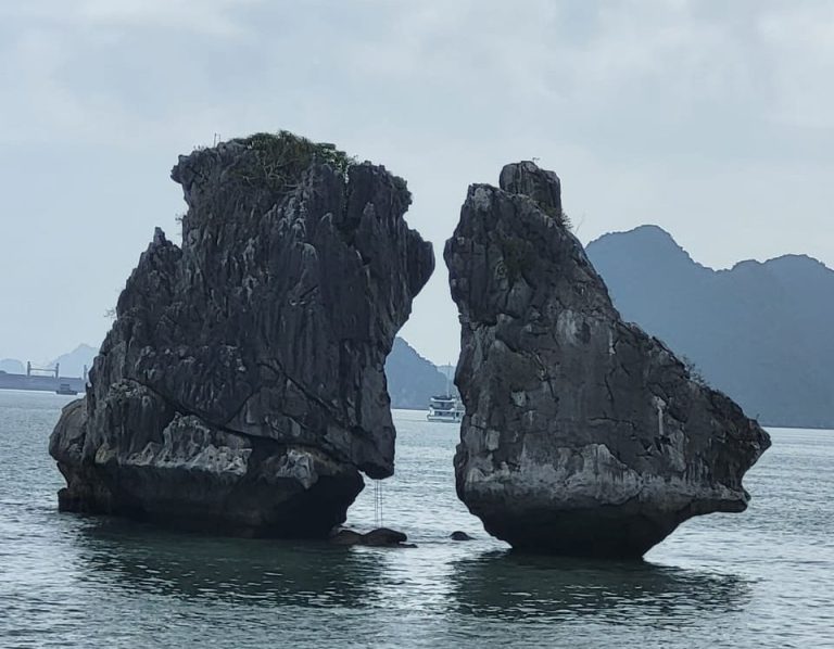 Каякинг в бухте Халонг — прогулка на байдарке среди известняковых скал и лагун