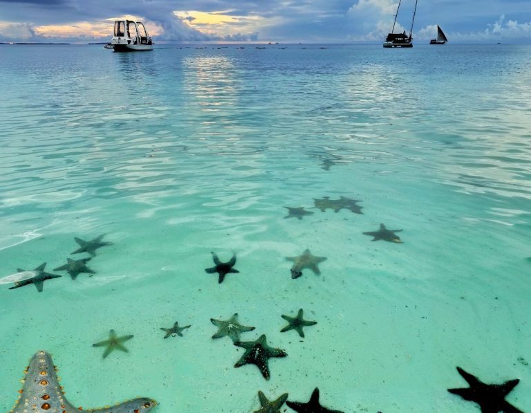 Starfish Beach — пляж с морскими звёздами и прозрачной водой Необычный пляж Starfish Beach с белым песком, прозрачной голубой водой и морскими звёздами, финал экскурсии на Фукуоке